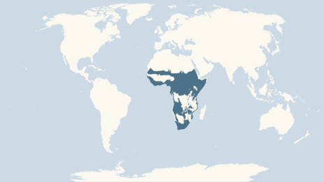 Map of distribution of the African fish eagle