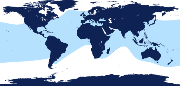 Map of distribution of the common bottlenose dolphin