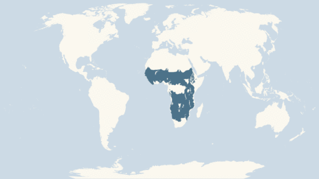 Map of distribution of the common warthog